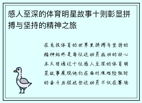 感人至深的体育明星故事十则彰显拼搏与坚持的精神之旅